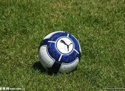 阿森纳冬歇,期静悄悄,除非遭遇伤,欧亿体育官方,欧亿体育在线官网,欧亿体育线上,欧亿体育APP