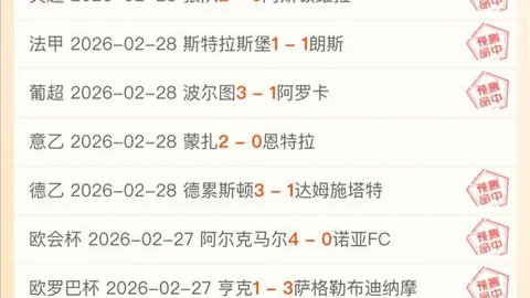 维卡里奥解析：虽有不足，非热刺困境主因